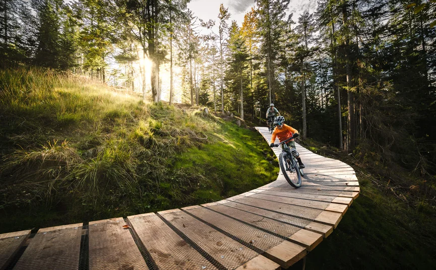 Zwei Mountainbiker auf einem Holzsteg in einem sonnigen Wald