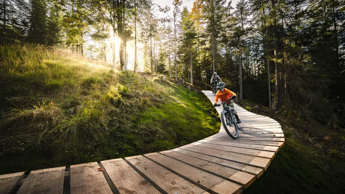 Unterwegs in Österreichs größter Bikeregion © Klaus Listl Zwei Mountainbiker auf einem Holzsteg in einem sonnigen Wald