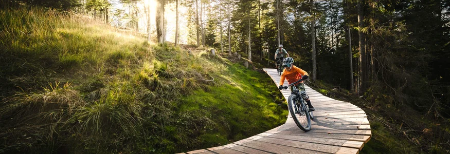 Two mountain bikers on a wooden trail in a sunny forest