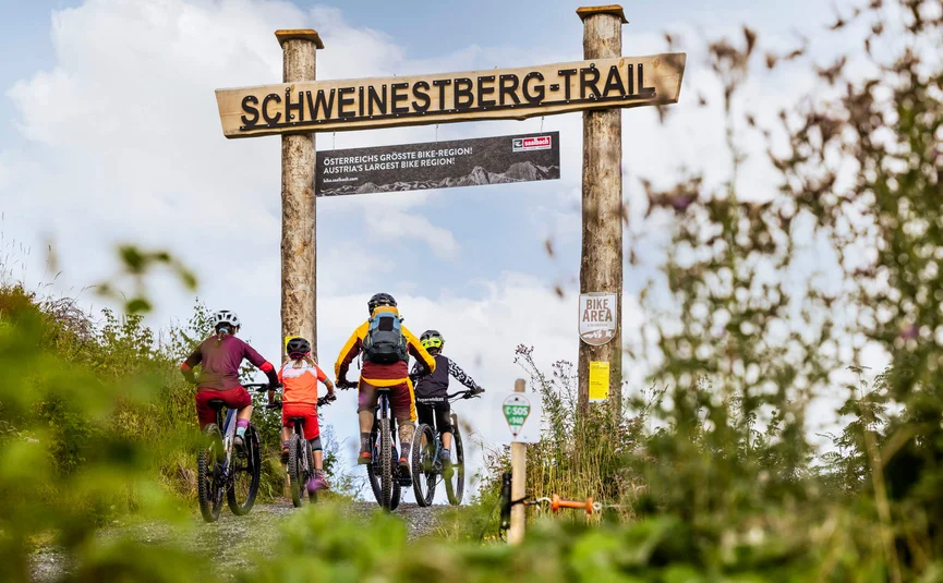 Vier mountainbikers die de Schweinestberg-trail op fietsen