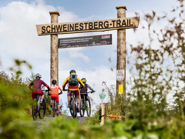 Ein perfekter Enduro-Tag – vom ersten Höhenmeter bis zum letzten Trail © Klemens König Vier Mountainbiker fahren den Schweinestberg-Trail hinauf