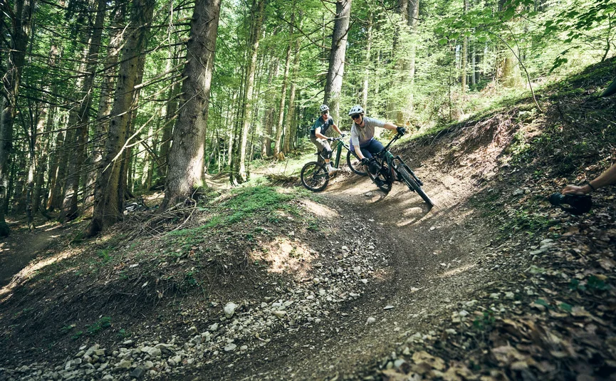 Two mountain bikers riding a winding forest trail