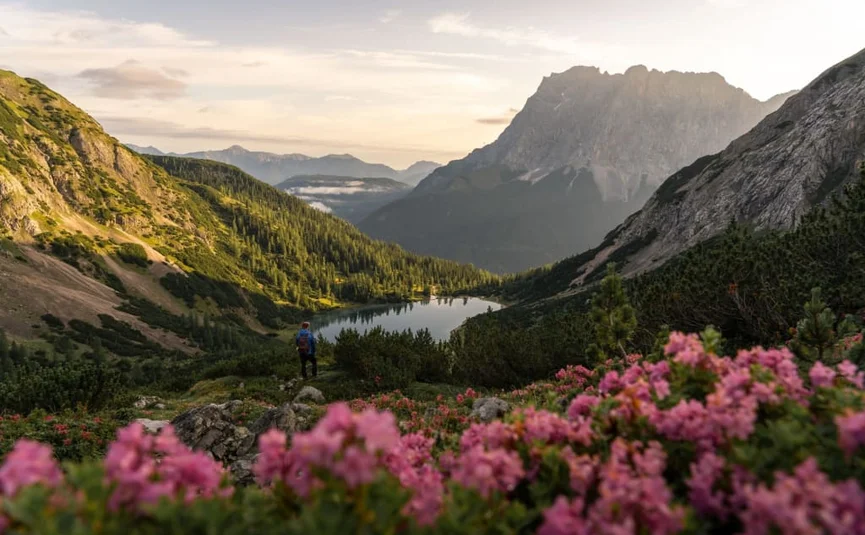 4 Tage Bergsommer rund um die Zugspitze 2026 Wanderer in einem Tal mit rosa Blumen und Bergen im Hintergrund