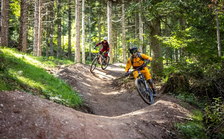 Zwei Mountainbiker fahren auf einem Waldtrail mit Kurven und Hügeln