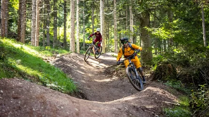 Zwei Mountainbiker fahren auf einem Waldtrail mit Kurven und Hügeln
