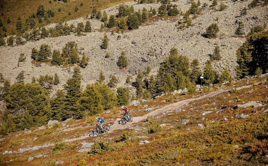 Two mountain bikers riding on a rocky forest trail