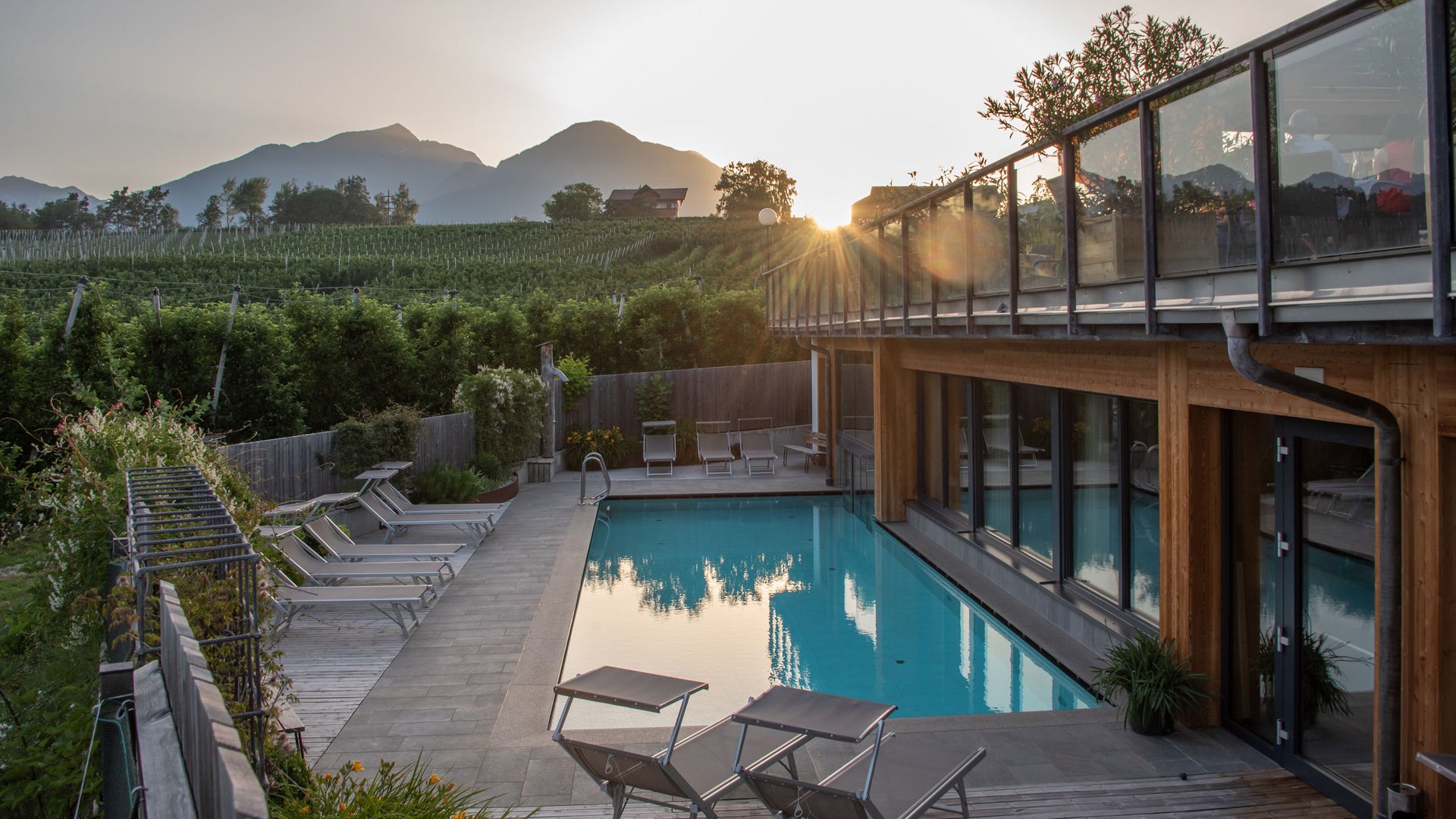Schwimmbad mit Liegestühlen vor Weinbergen bei Sonnenuntergang