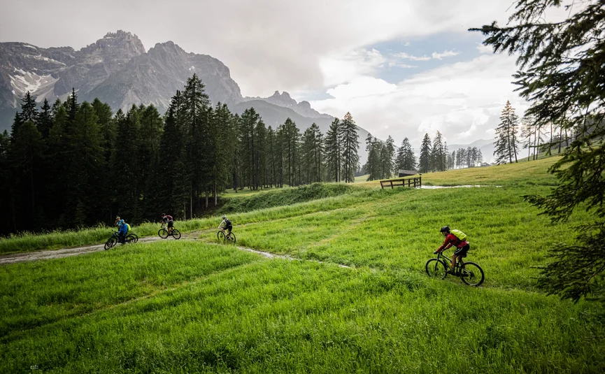 Radfahrer auf einem grünen Feld mit Bergen und Wald im Hintergrund
