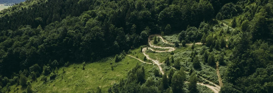 9 Gründe, warum Kočevsko noch ein echter MTB-Geheimtipp ist
© Klemen Humar - MTBTrailCenter Luftaufnahme eines kurvigen Waldpfads im Grünen