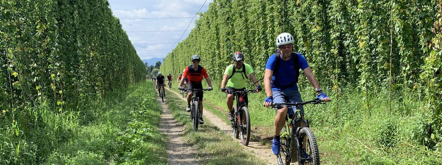 Bier und Bike Kulinarik MTB Tour