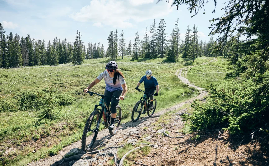 Twee mensen mountainbiken op een bospad bij zonnig weer