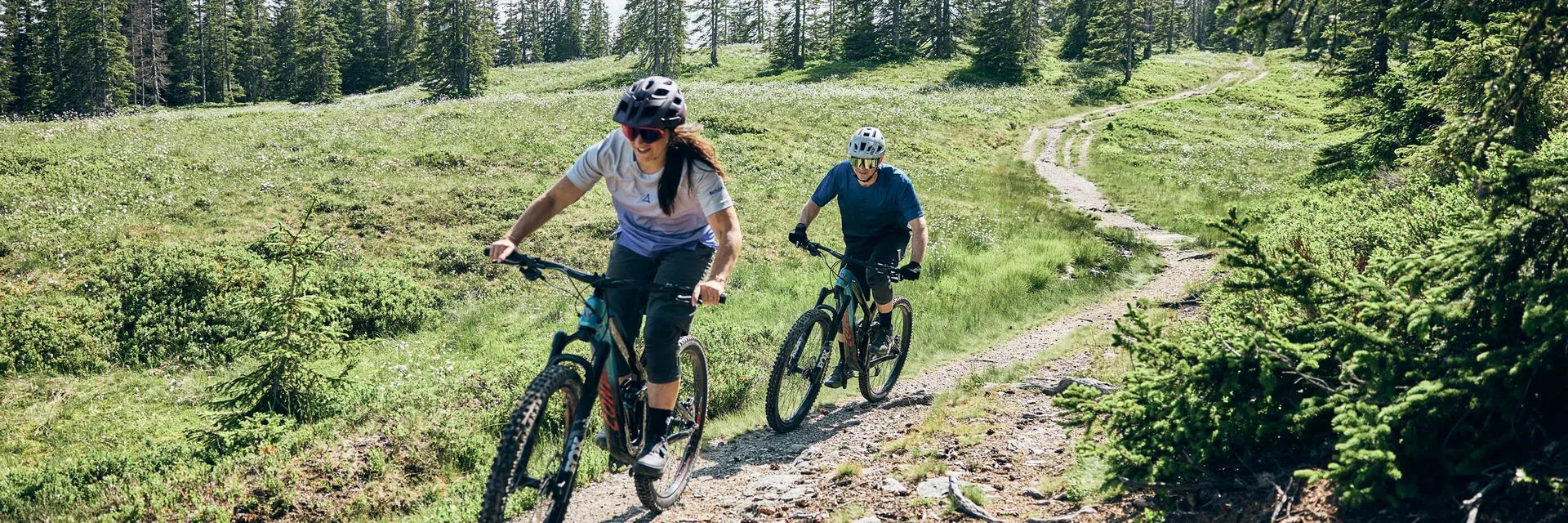 Zwei Personen fahren Mountainbike auf einem Waldweg bei sonnigem Wetter
