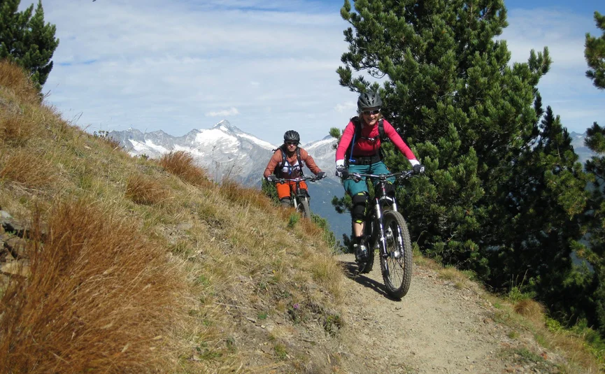 Two mountain bikers riding on a narrow mountain trail with pine trees and snowy peaks
