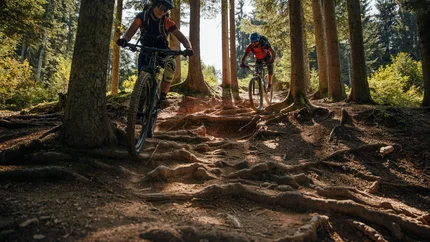 Zwei Mountainbiker fahren auf einem wurzeligen Waldpfad bergab