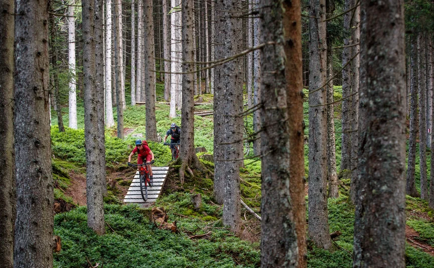 Zwei Mountainbiker fahren auf einem Pfad durch einen dichten Wald