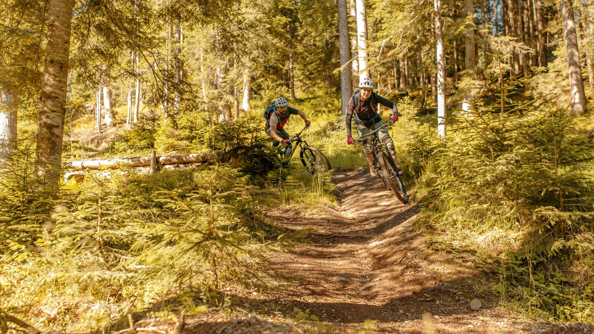 Zwei Mountainbiker fahren bergab durch einen sonnigen Waldweg