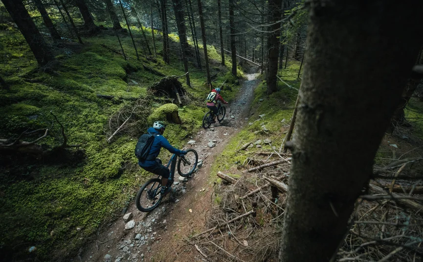 Two mountain bikers riding on a forest trail covered with moss