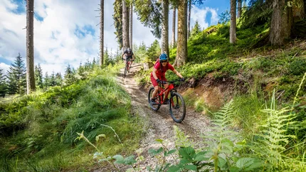 Zwei Mountainbiker fahren auf einem Waldweg am Hang