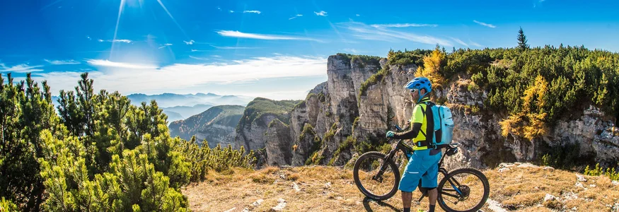 Mountainbiker bei sonnigem Wetter auf einem Berggipfel mit Felsen und Tannen