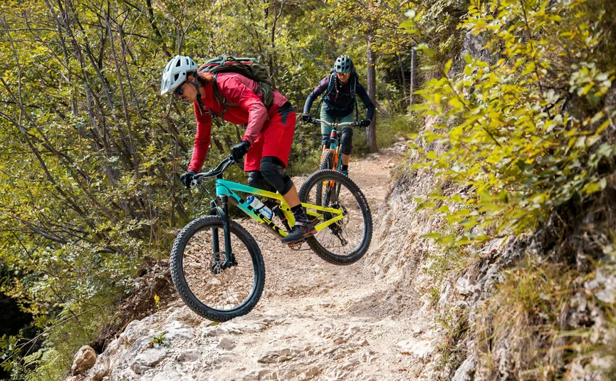 Twee mountainbikers rijden bergaf op een smal bospad