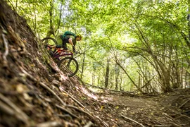 Mountainbiker fährt steilen Waldweg hinunter