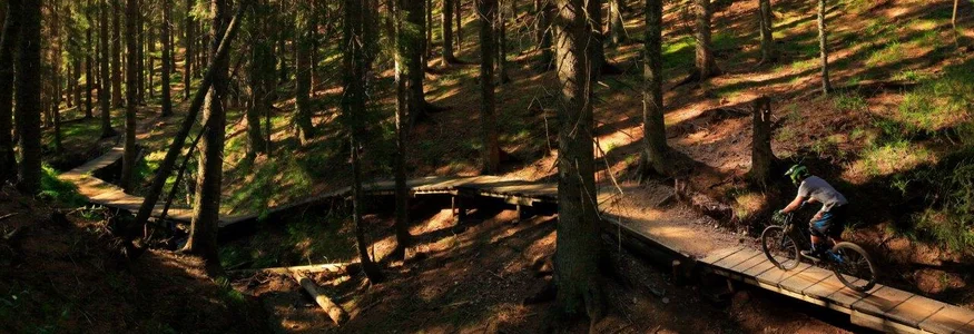 Mountainbike Urlaub in Rogla – Pohorje © Dan Briski Mountainbiker fährt auf holzplanken durch dichten Wald bei Sonnenlicht