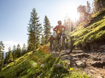 Two people mountain biking on rocky forest trail in sunlight