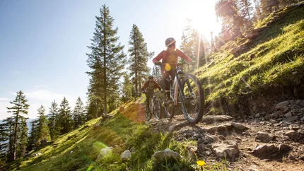 Zwei Menschen fahren Mountainbike auf bergigem Waldweg bei Sonnenschein