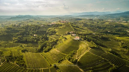 Landschap met groene wijngaarden en heuvels onder een bewolkte lucht
