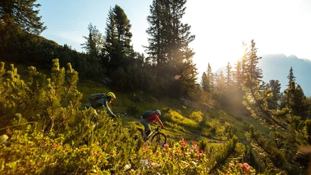 Zwei Mountainbiker fahren durch sonnigen Bergwald mit Blumen
