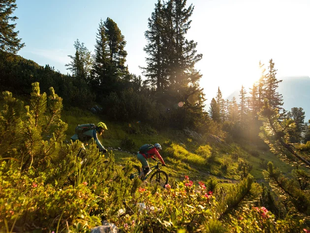 Zwei Mountainbiker fahren durch sonnigen Bergwald mit Blumen