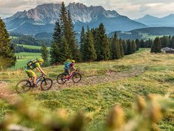 Two mountain bikers cycling on a trail in the mountains with fir trees and a cabin