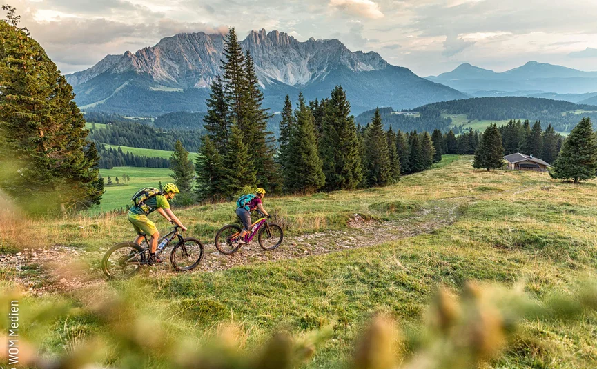 Two mountain bikers cycling on a trail in the mountains with fir trees and a cabin