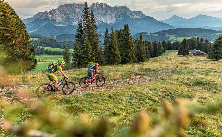 Twee mountainbikers op een pad in de bergen met dennenbomen en een hut