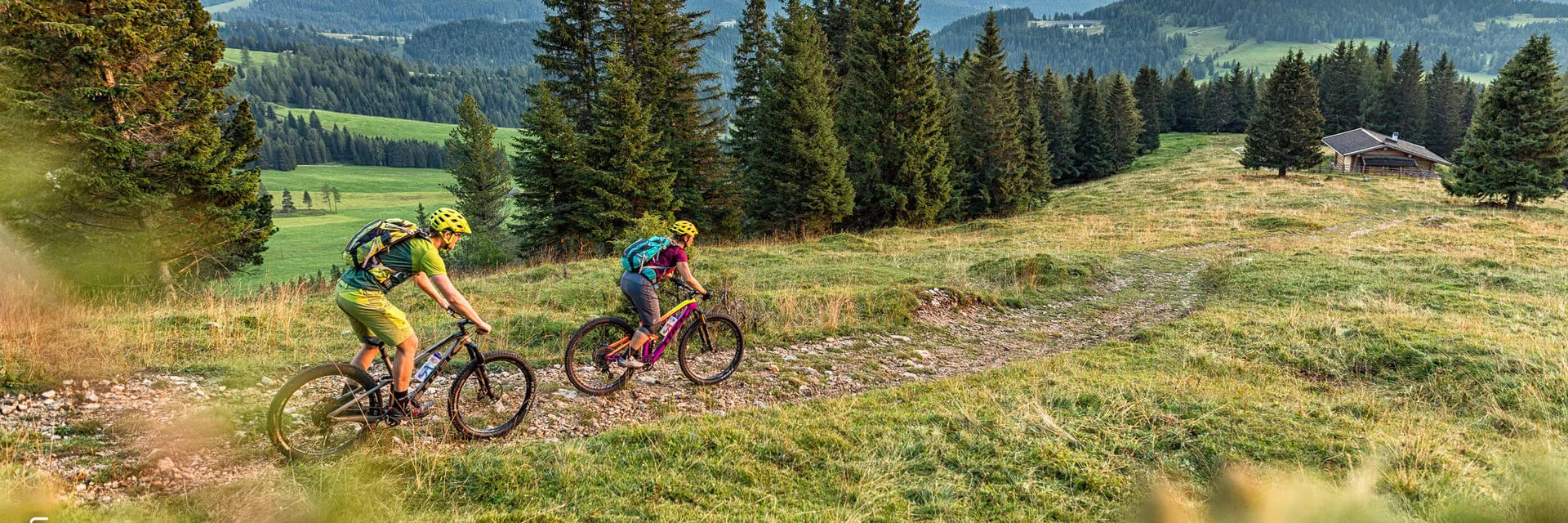 Twee mountainbikers op een pad in de bergen met dennenbomen en een hut