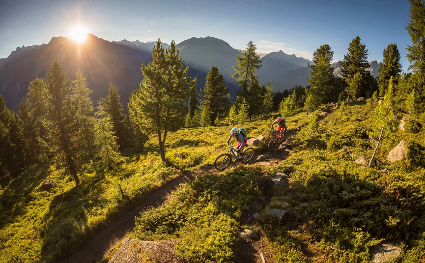 Two mountain bikers riding on a forest trail at sunset in the mountains