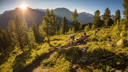 Leiterbergtrails