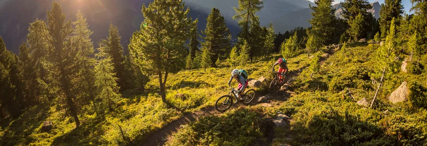 Two mountain bikers riding on a forest trail at sunset in the mountains