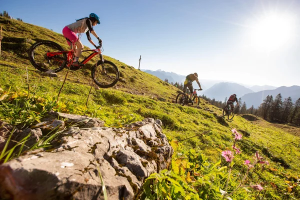 Best of Brandnertal © Michael Marte - Bikepark Brandnertal Three mountain bikers riding on a sunny hillside with mountain views
