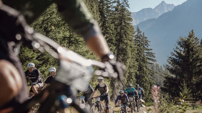 Wir sind E-Bike. Gruppe von Mountainbikern auf einem Waldweg im Gebirge bei Sonnenschein