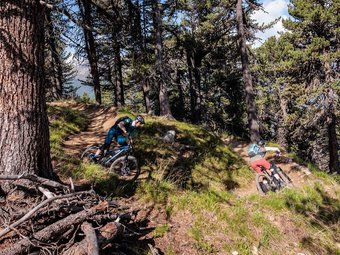 Zwei Mountainbiker fahren auf einem Waldweg im Gebirge