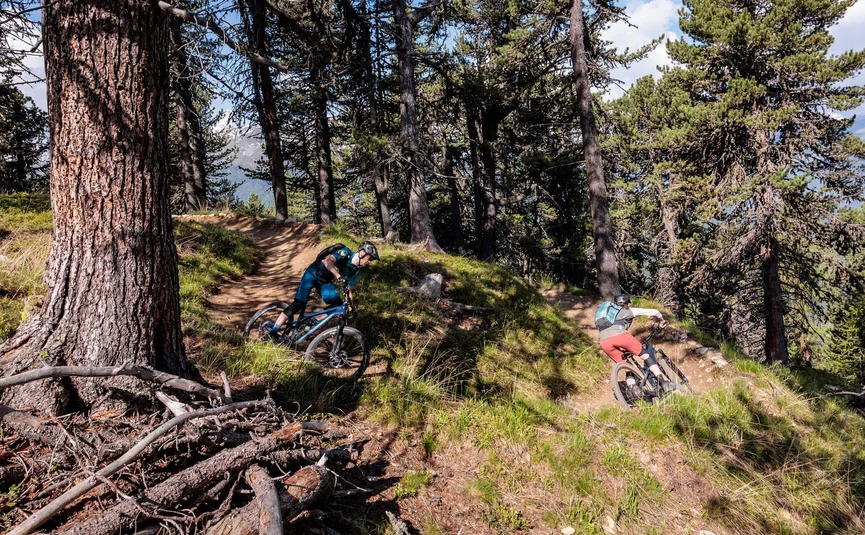 Zwei Mountainbiker fahren auf einem Waldweg im Gebirge