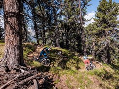 Zwei Mountainbiker fahren auf einem Waldweg im Gebirge