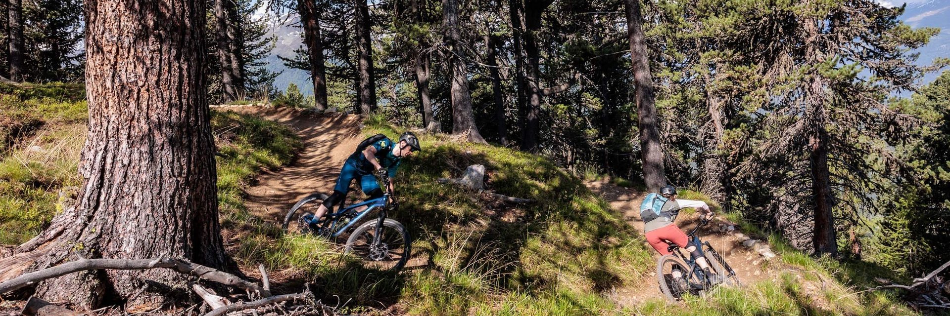 Twee mountainbikers fietsen op een bosroute in de bergen