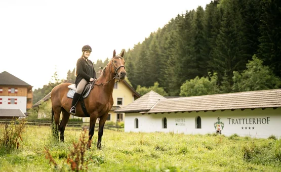 Riding holiday at the GUTshof / 3 nights Woman riding brown horse near hotel with forest background