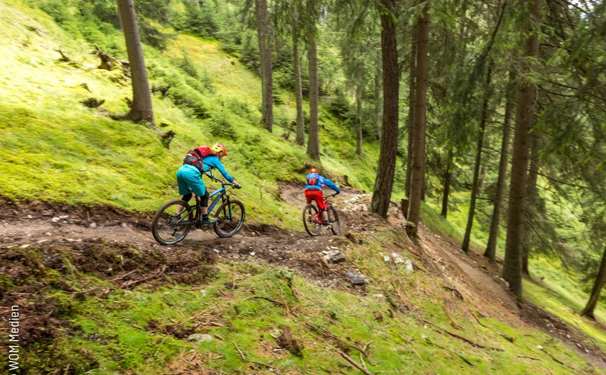 Zwei Mountainbiker fahren auf einem Waldpfad bergab