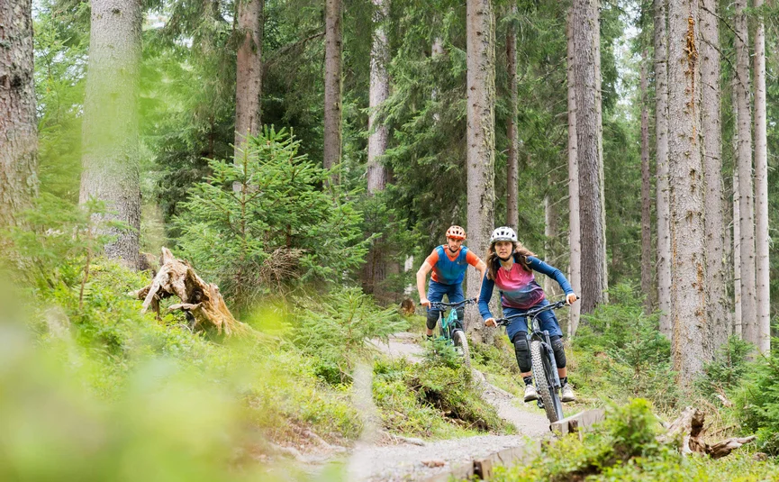 Twee mountainbikers rijden over een bospad door het bos