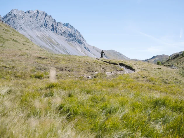 Mountainbiker fährt auf einem Pfad durch eine Bergwiese unter klarem Himmel