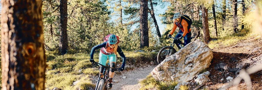 Zwei Mountainbiker fahren im Wald auf einem sonnigen Pfad