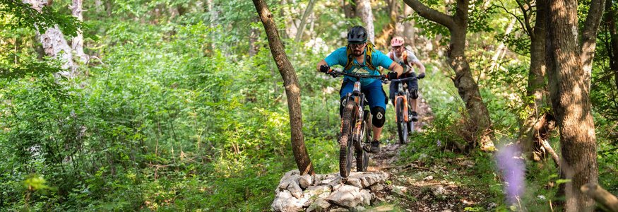 Zwei Mountainbiker fahren durch einen bewaldeten Trail
